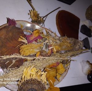 Witches burrs, polished and raw stones, sages of different types,